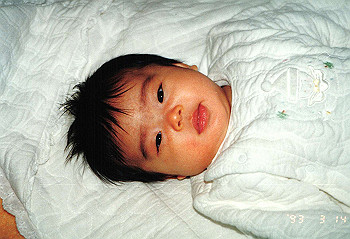 19930314_001_thumb.jpg