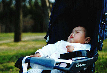 19930418izumi_009_thumb.jpg