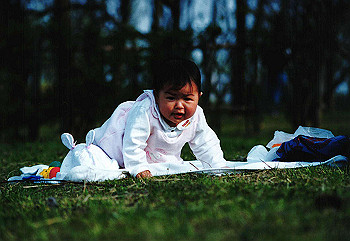 19930418izumi_010_thumb.jpg