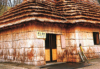 19930421_008_thumb.jpg