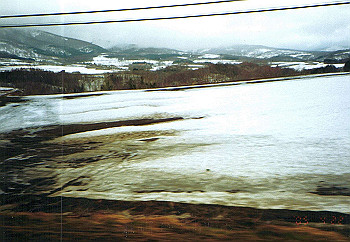 19930422_003_thumb.jpg