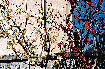 19940104_005_thumb.jpg