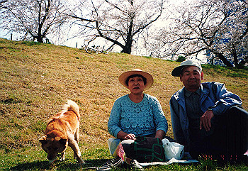 19940411_003_thumb.jpg