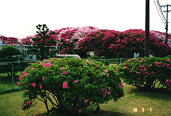 19940501_001_thumb.jpg