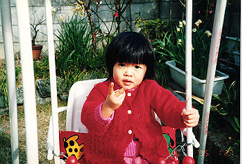 19950127izumi_027_thumb.jpg