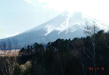 19950419_001_thumb.jpg