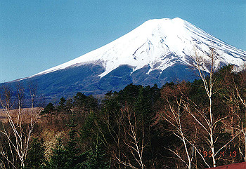 19950419_013_thumb.jpg
