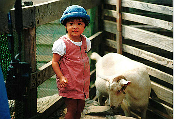 19950715izumi_012_thumb.jpg