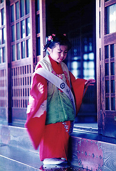 19951100_001_thumb.jpg