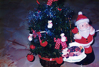 19951226_004_thumb.jpg
