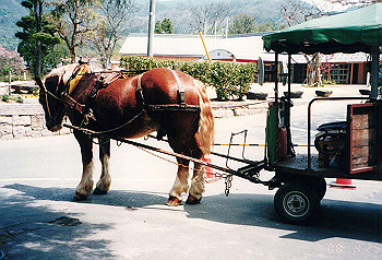 19960425_029_thumb.jpg