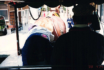 19960425_032_thumb.jpg