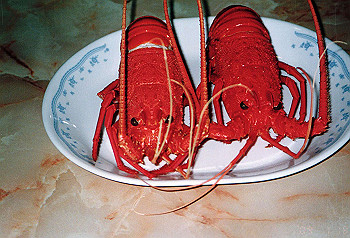 19970119_009_thumb.jpg