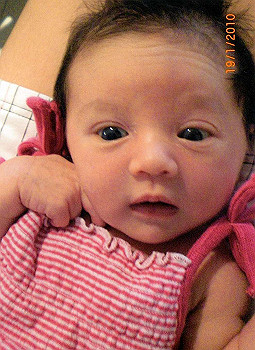 lila06_thumb.jpg