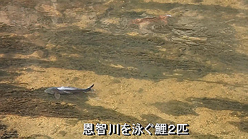 2016030801_thumb.jpg