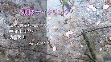2016040201_thumb.jpg