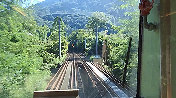 2016083101_thumb.jpg
