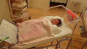 pb050287_thumb.jpg