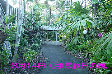 2006081401_thumb.jpg