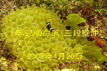 2008042601_thumb.jpg