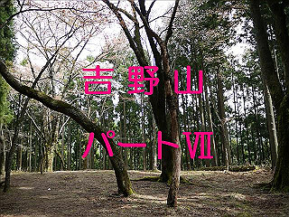 2010041807_x264.mp4_thumb.jpg