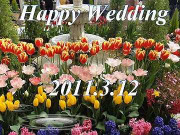 2011031202_thumb.jpg