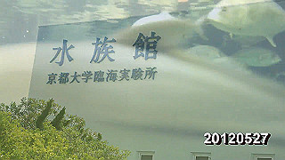 2012052701-2019_x264.mp4_thumb.jpg