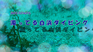 20130601_x264.mp4_thumb.jpg