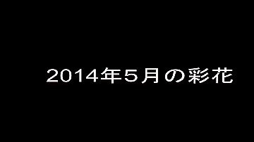 2014050401_thumb.jpg