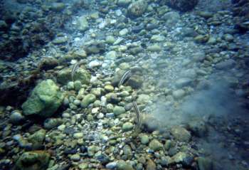 2006060503_thumb.jpg
