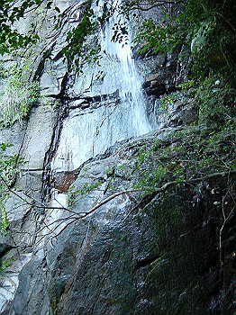 dsc00030_thumb.jpg