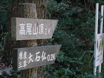 dsc00041_thumb.jpg