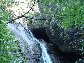 dsc00044_thumb.jpg
