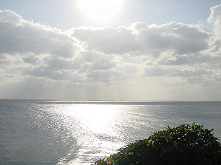 20061222030_thumb.jpg