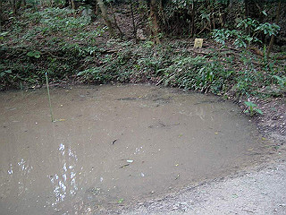 20061222038_thumb.jpg