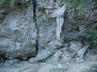 20061222042_thumb.jpg
