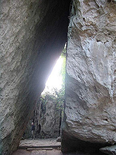 20061222045_thumb.jpg