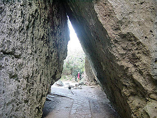 20061222046_thumb.jpg