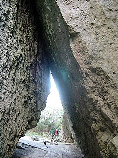 20061222047_thumb.jpg