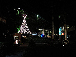 20061222072_thumb.jpg