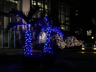20061222074_thumb.jpg