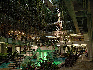 20061222075_thumb.jpg