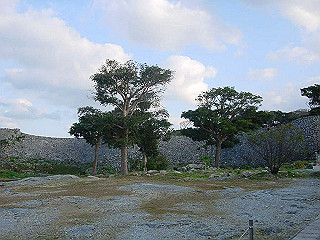 20061222103_thumb.jpg