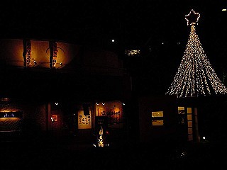 20061222135_thumb.jpg