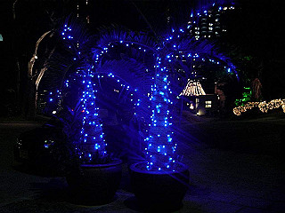 20061222146_thumb.jpg