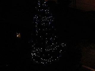 20061222149_thumb.jpg