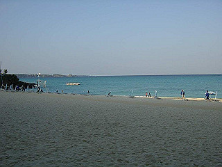 20061222150_thumb.jpg