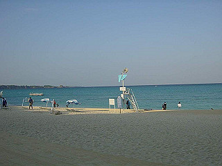 20061222151_thumb.jpg