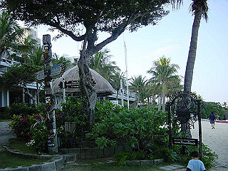 20061222157_thumb.jpg