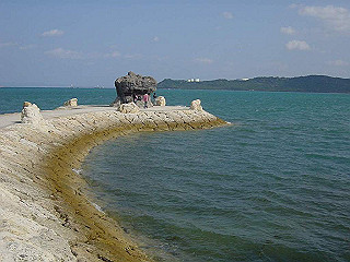 20061222187_thumb.jpg
